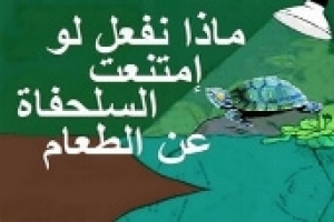 أسباب وعلاج امتناع السلحفاة عن الطعام