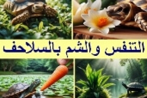 التنفس والشم عند السلاحف