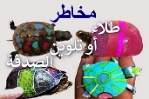 طلاء أو تلوين صدفة السلحفاة: أضراره وخطورته 