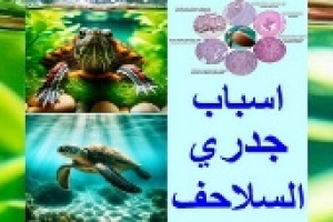 أسباب وشكل جدري السلاحف 